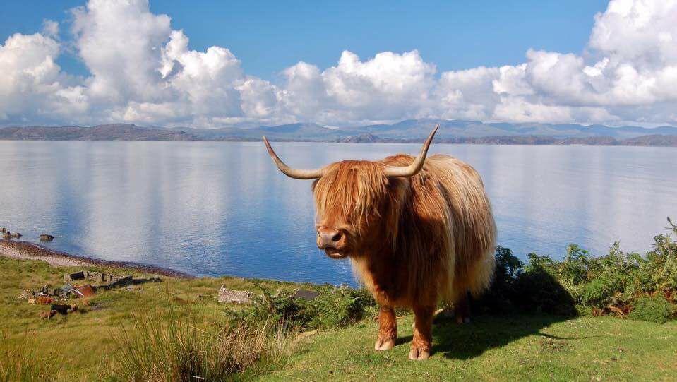 Kinnoch Lodge Inverness Luaran gambar
